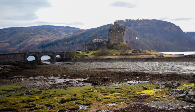 A stone castle with a tower stands on a small island, connected to the mainland by an arched stone bridge. Green moss and rocky terrain are in the foreground, with tree-covered hills and a cloudy sky in the background.