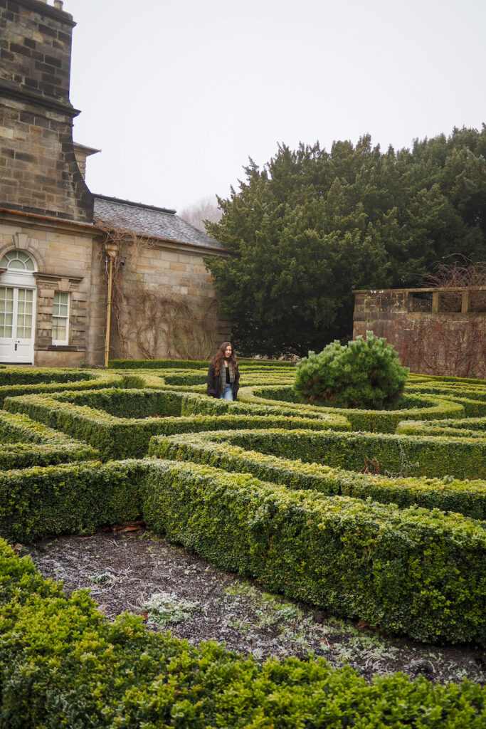 young woman walking inside a hedge maze by Pollok House