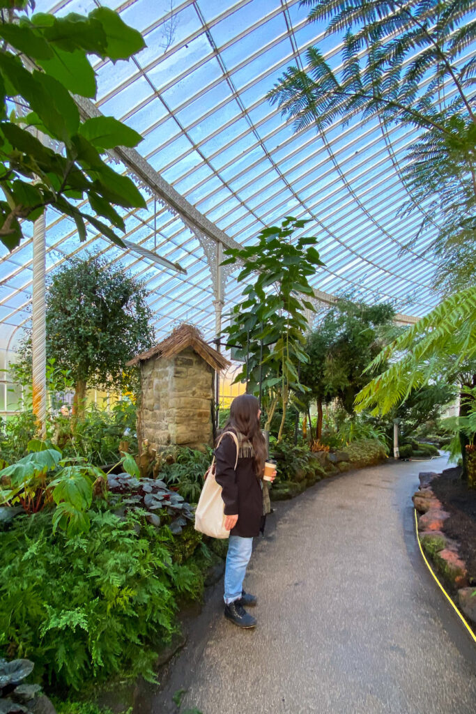 author, a young woman, standing inside the Kibble Palace glasshouse in Glasgow Botanic Gardens