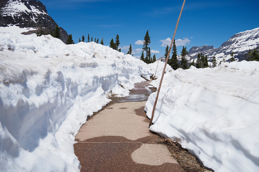 a pathway that has been cleared with snow with snow piling up on the sides of it
