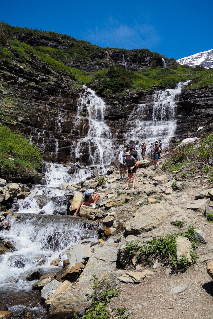 weeping wall, a waterfall, off the Going-to-the-Sun Road in Glacier National Park