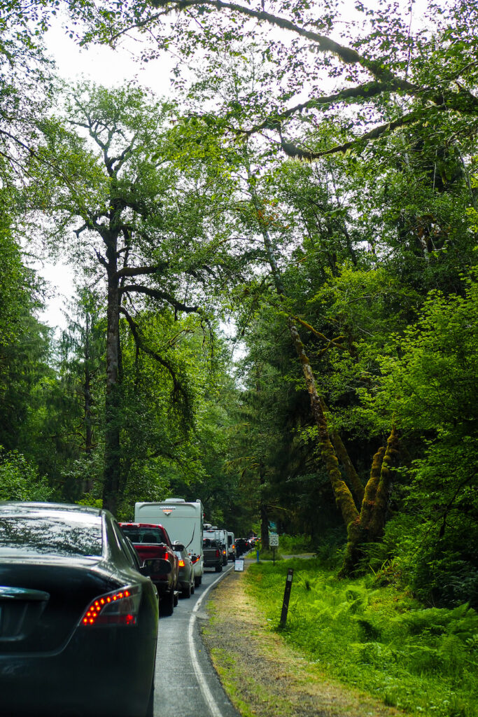 a line of cars waiting to enter Olympic National Park
