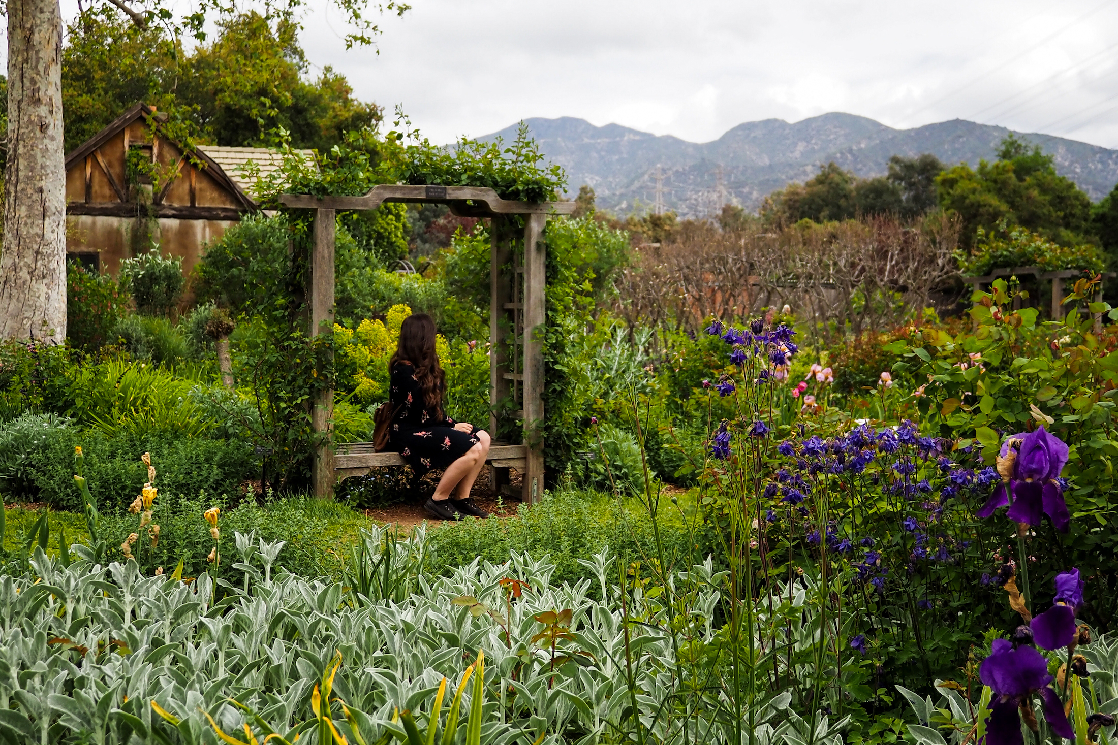 girl sitting in a seat in a garden surrounded by flowers with mountains in the background
