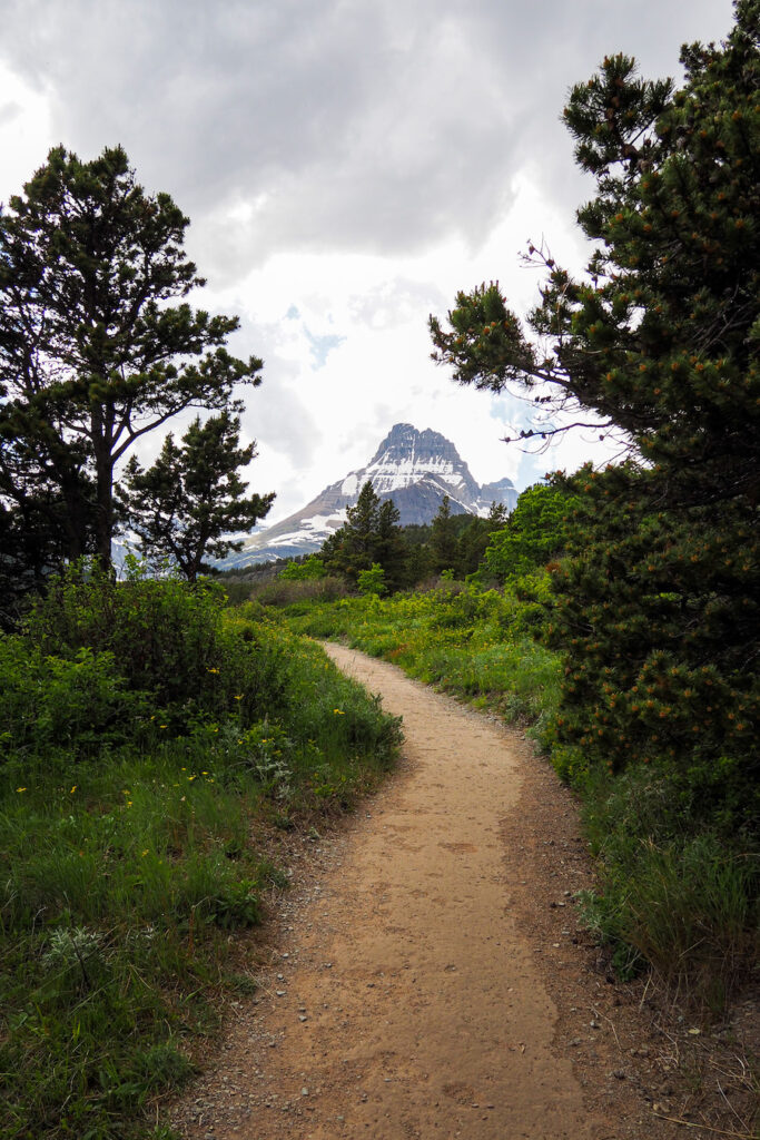 a dirt trail cutting through greenery with mountains in the background in Glacier National Park