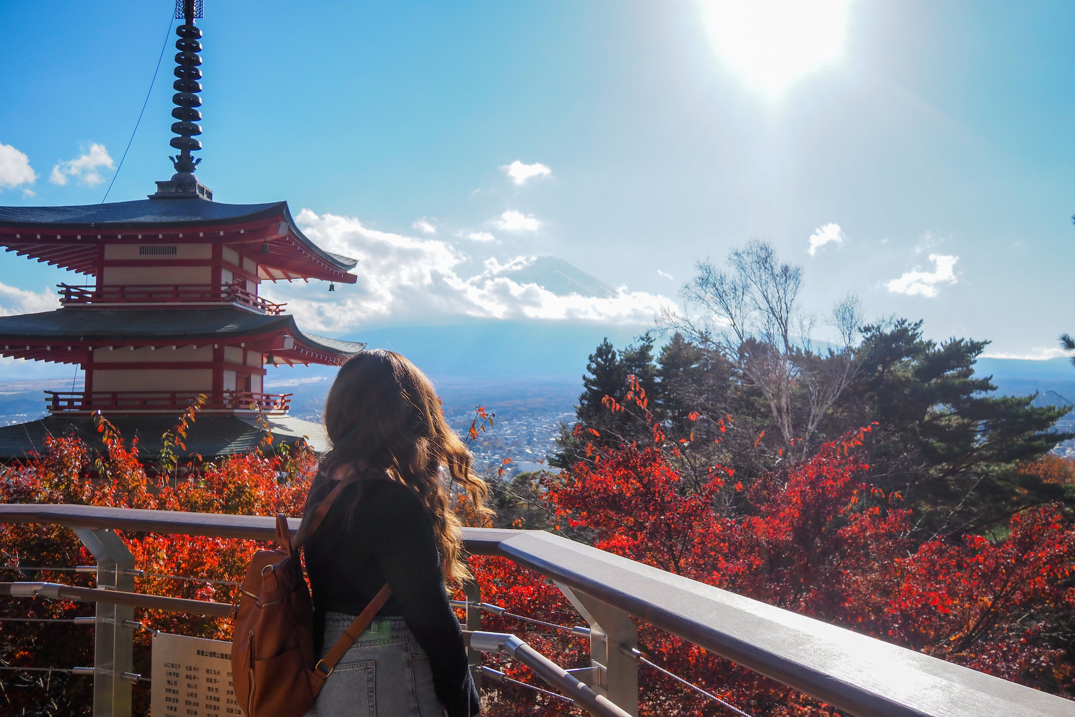 How to Plan a Day Trip to Mt Fuji from Tokyo - Wanderful Plans