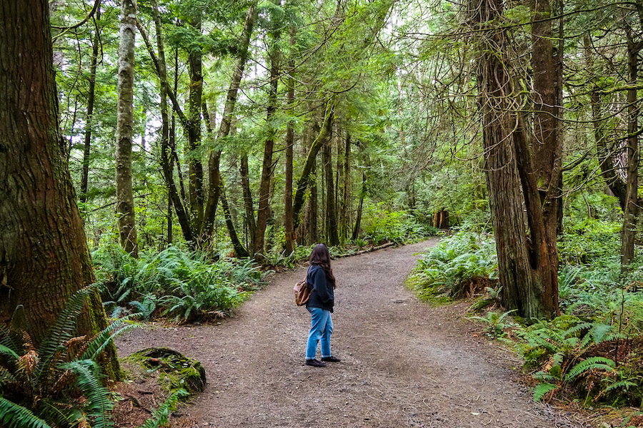 girl standing on a path in the middle of the woods