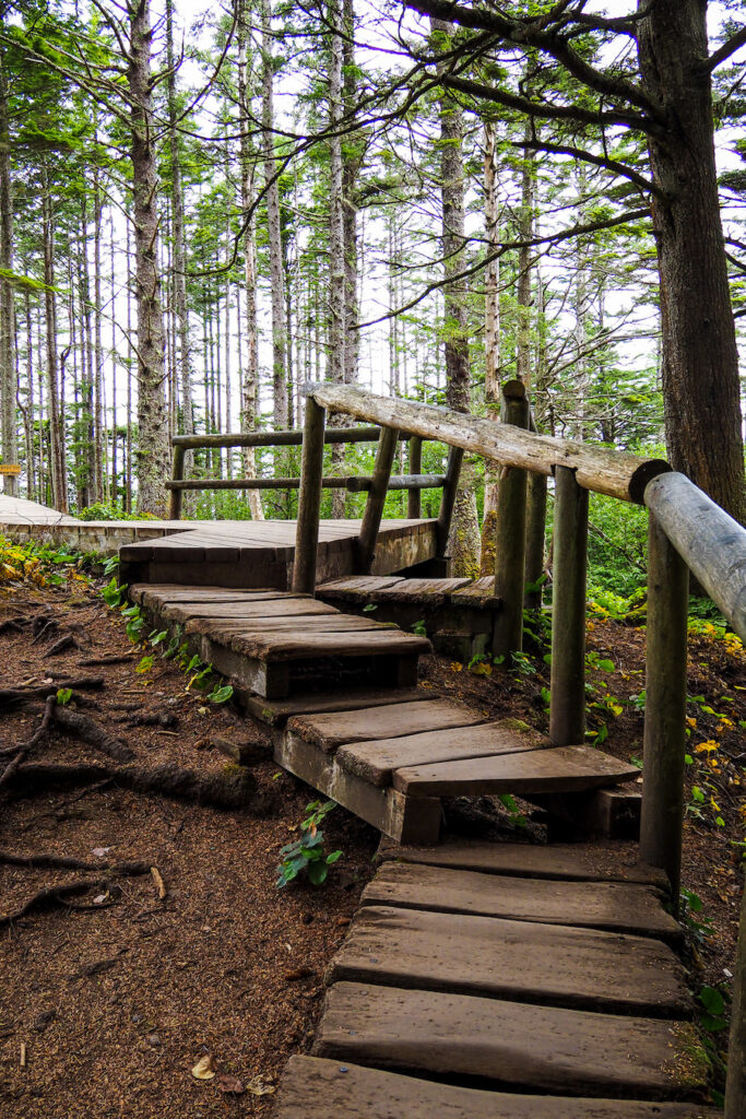 wooden boardwalks covering a path in the woods