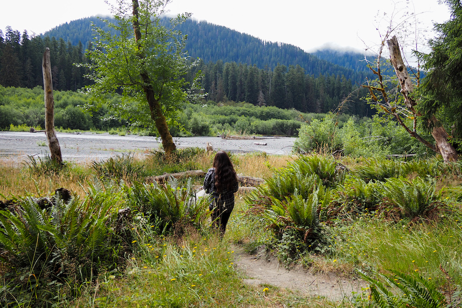 girl standing near the hoh river with trees and forests on the other side