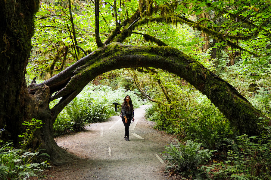 girl standing in a path below an arched tree branch