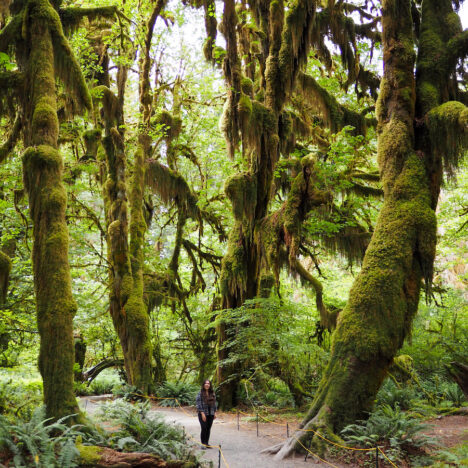 girl standing in the middle of a tall rainforest