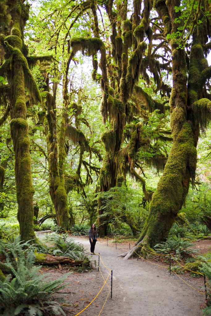 girl standing in the middle of four large moss-covered trees