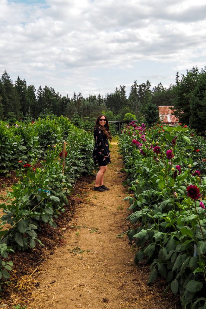 girl standing in an aisle of dahlia plants