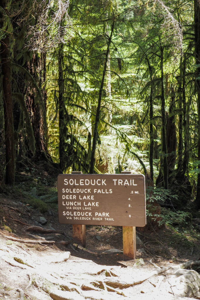 a wooden sign that says "SOLEDUCK TRAIL" with a list of trails and their corresponding mileage, in the woods