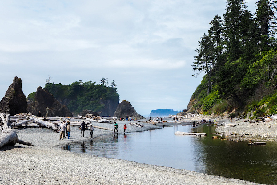 people near a river at Ruby Beach with driftwood all around