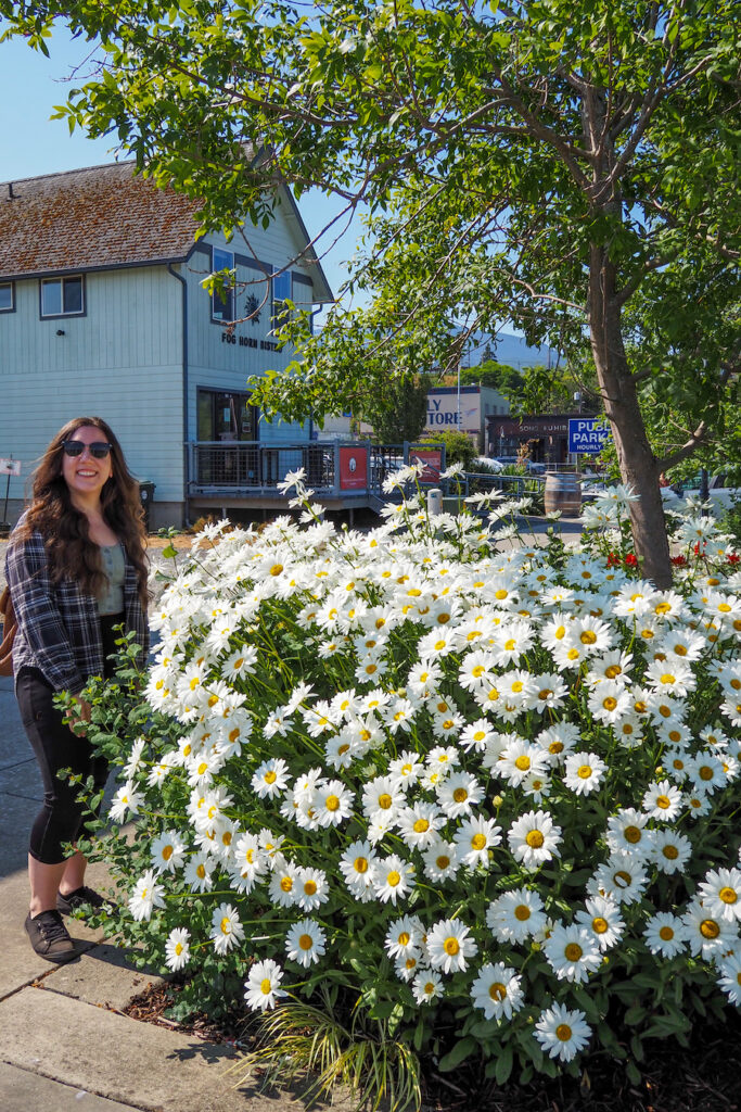 girl standing next to a bush of daisies on the street