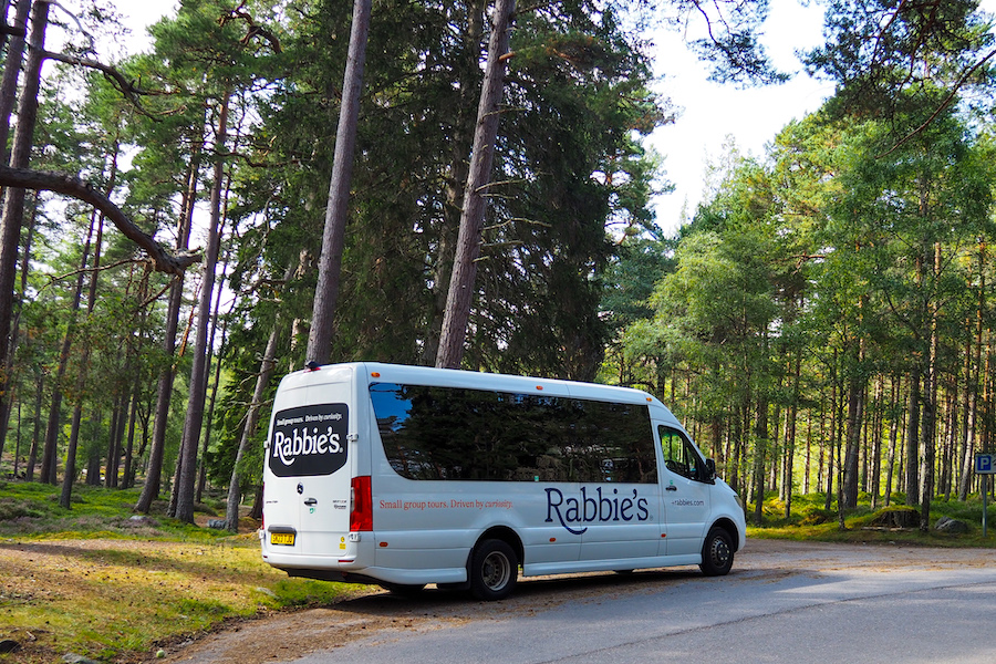 A white Rabbie’s tour minibus is parked on the edge of a quiet road surrounded by tall pine trees in a lush, green forest under a partly cloudy sky.