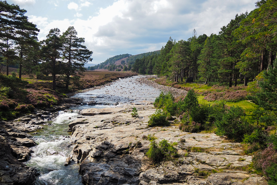 A rocky river flows gently through a forested landscape, surrounded by green pine trees and heather. Rolling hills rise in the background under a partly cloudy sky.