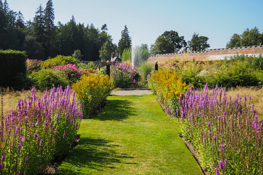 flowers inside a walled garden at glamis castle